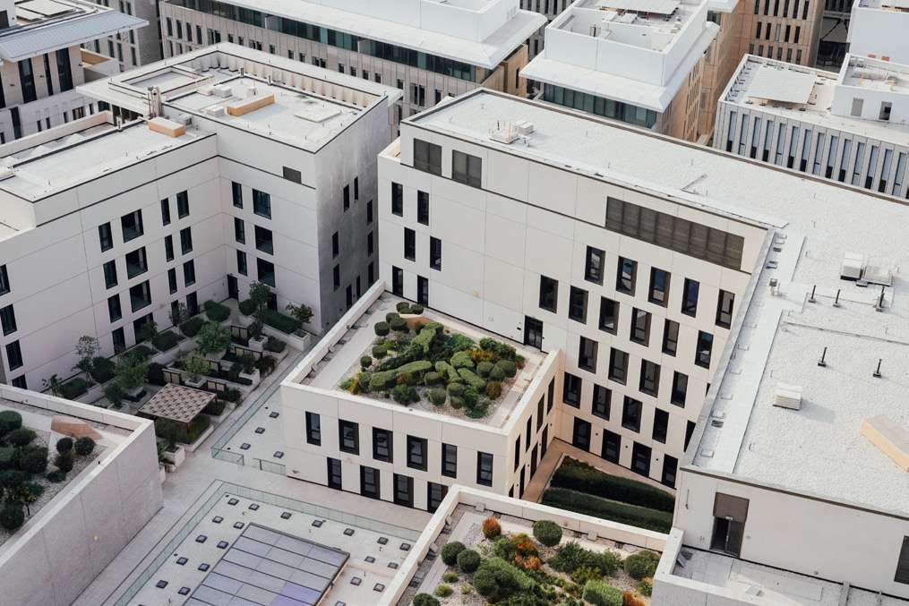 Exceptional connectivity