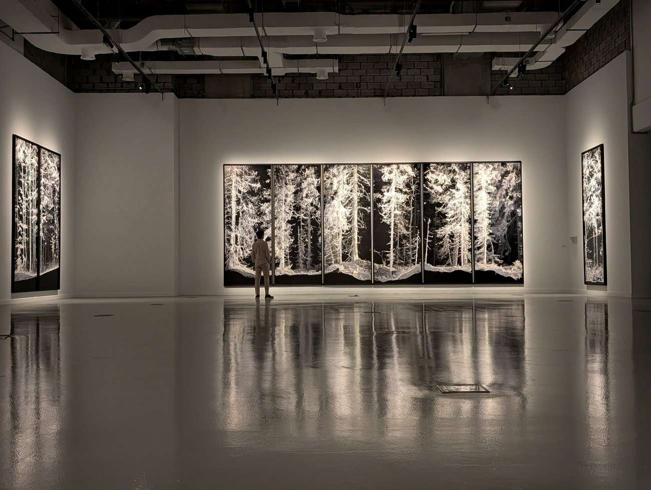 At M7 Msheireb Downtown a person standing in a gallery, viewing large black and white tree photographs on the wall.